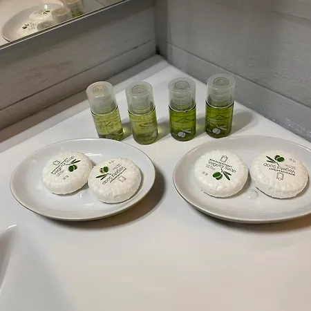 住宿加早餐酒店 Vatican's 罗马