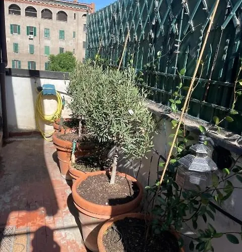 Vatican's روما